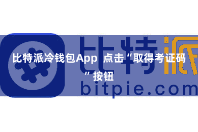 比特派冷钱包App 点击“取得考证码”按钮