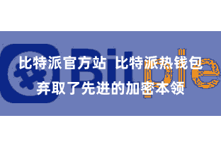比特派官方站 比特派热钱包弃取了先进的加密本领