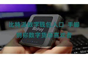 比特派数字钱包入口  手脚别称数字货币喜欢者