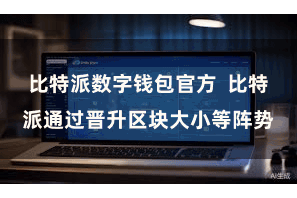 比特派数字钱包官方  比特派通过晋升区块大小等阵势